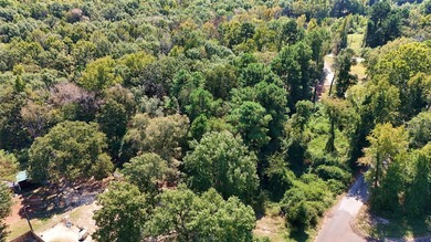 Snatch up this one-of-a-kind opportunity to invest in Lake - photo 21