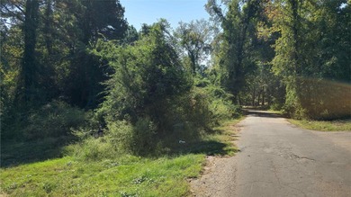 Snatch up this one-of-a-kind opportunity to invest in Lake - photo 22