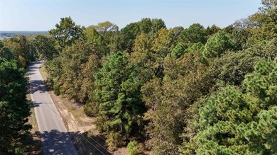 Snatch up this one-of-a-kind opportunity to invest in Lake - photo 24