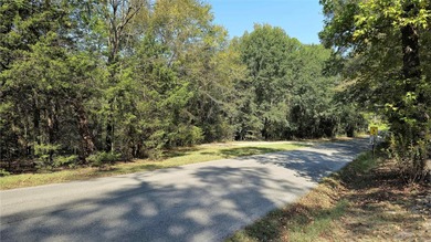 Snatch up this one-of-a-kind opportunity to invest in Lake - photo 25