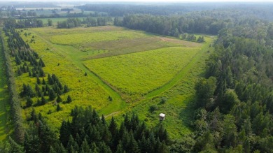 Lake Acreage For Sale in Deerbrook, Wisconsin