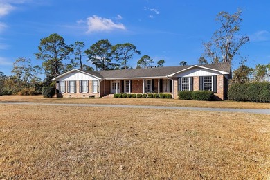 (private lake, pond, coastal) Home For Sale in Nashville Georgia