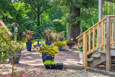 Welcome to 175 Thunder Road in Hot Springs! Tucked away on a - photo 31