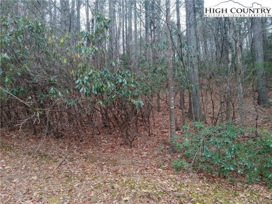 Lake Ashe Lot For Sale in West Jefferson North Carolina