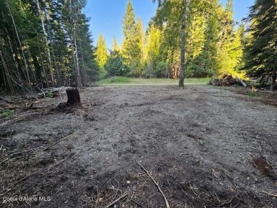 Lake Lot For Sale in Bayview, Idaho