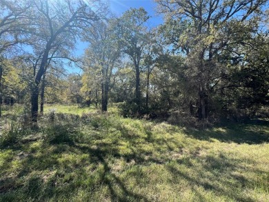 Lake Lot For Sale in Whitney, Texas