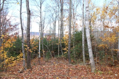 WELD, MAINE - check out this new to market building parcel - Lake Acreage For Sale in Weld, Maine