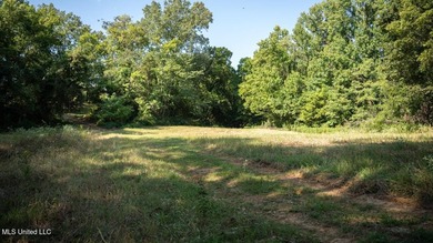 Welcome to Turkey Roost. Turkey Roost is 27+- acres with a - photo 38