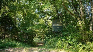 Welcome to Turkey Roost. Turkey Roost is 27+- acres with a - photo 39