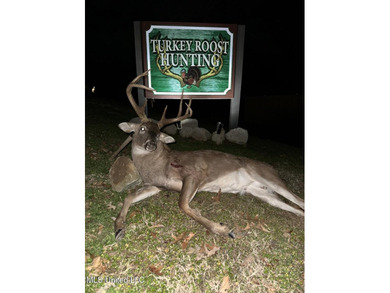 Welcome to Turkey Roost. Turkey Roost is 27+- acres with a - photo 41