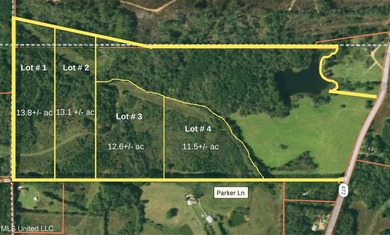 Looking for the perfect acreage in Copiah County for a mini farm - photo 1