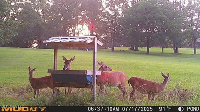 Welcome to Turkey Roost. Turkey Roost is 27+- acres with a - photo 43