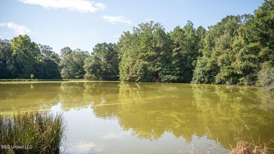 Welcome to Turkey Roost. Turkey Roost is 27+- acres with a - photo 45