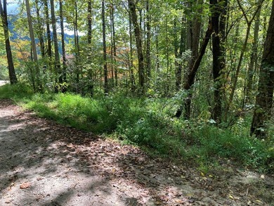 Lake Hiwassee Lot For Sale in Murphy North Carolina