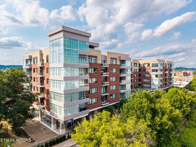 Live in the heart of downtown Knoxville at Regas Square! This - photo 1