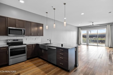 Live in the heart of downtown Knoxville at Regas Square! This - photo 2