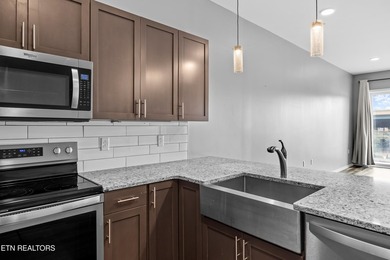 Live in the heart of downtown Knoxville at Regas Square! This - photo 4