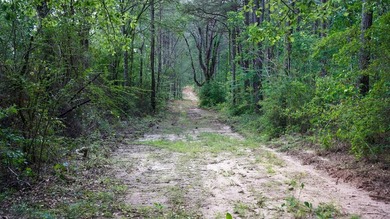 This is the ideal tract for the savvy investor/recreational - photo 11