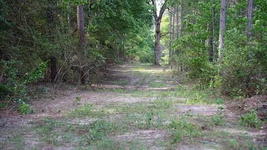 This is the ideal tract for the savvy investor/recreational - photo 12