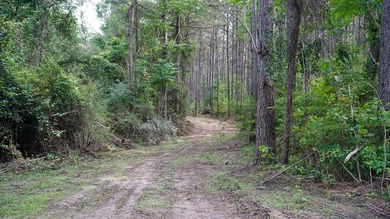 This is the ideal tract for the savvy investor/recreational - photo 13