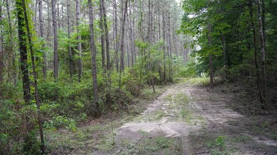 This is the ideal tract for the savvy investor/recreational - photo 14