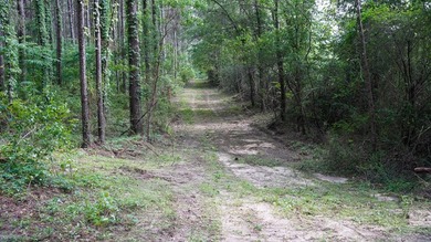 This is the ideal tract for the savvy investor/recreational - photo 17