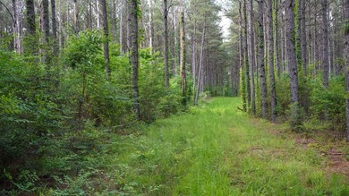 This is the ideal tract for the savvy investor/recreational - photo 18