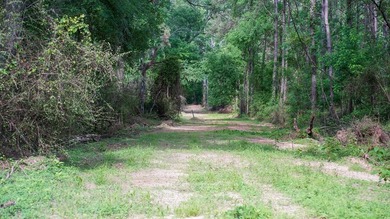 This is the ideal tract for the savvy investor/recreational - photo 23