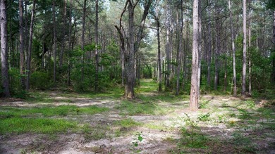 This is the ideal tract for the savvy investor/recreational - photo 24