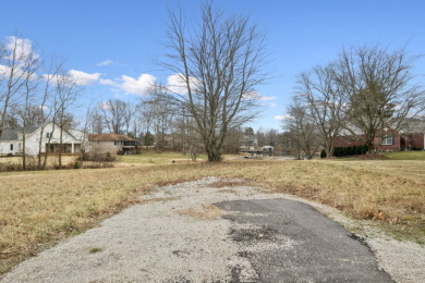 Lot 703 - Water access lot with dock - photo 3