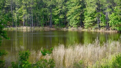 This is the ideal tract for the savvy investor/recreational - photo 29