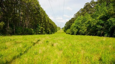 This is the ideal tract for the savvy investor/recreational - photo 30