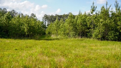 This is the ideal tract for the savvy investor/recreational - photo 32