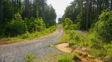 This is the ideal tract for the savvy investor/recreational - photo 34