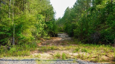 This is the ideal tract for the savvy investor/recreational - photo 36