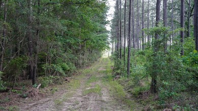 This is the ideal tract for the savvy investor/recreational - photo 40