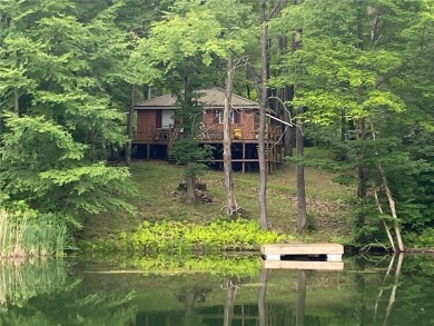 (private lake, pond, creek) Home For Sale in Poland New York