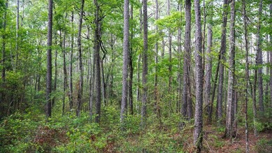 This is the ideal tract for the savvy investor/recreational - photo 42