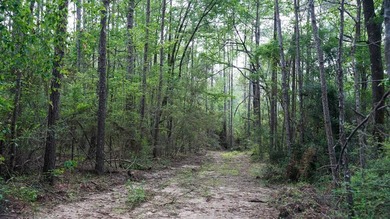 This is the ideal tract for the savvy investor/recreational - photo 44