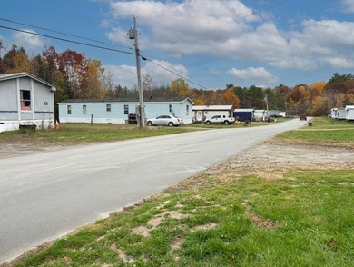 Expansion opportunity as this is licensed for 54 lots! 35 homes - photo 4
