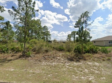Lehigh Acres Area Lot For Sale in Lehigh Acres Florida