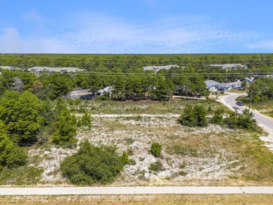 Exceptional opportunity to own a high-visibility corner lots at - photo 12
