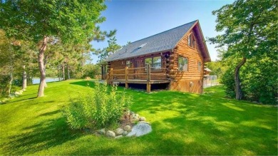Lake Home For Sale in Long Lost Lake Twp, Minnesota
