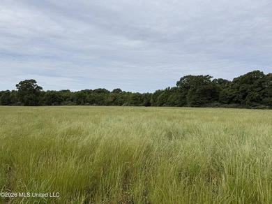 100.18+/- acres in Lawrence County, MS in the Jayess community - photo 2