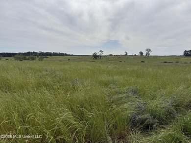 100.18+/- acres in Lawrence County, MS in the Jayess community - photo 6