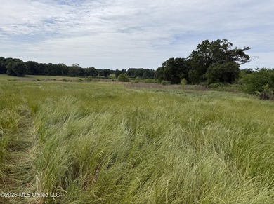 100.18+/- acres in Lawrence County, MS in the Jayess community - photo 7