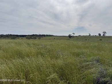 100.18+/- acres in Lawrence County, MS in the Jayess community - photo 8
