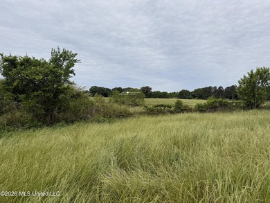 100.18+/- acres in Lawrence County, MS in the Jayess community - photo 9