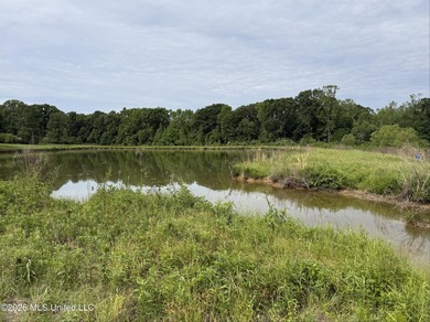 100.18+/- acres in Lawrence County, MS in the Jayess community - photo 10