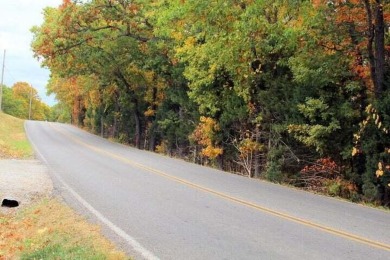 Table Rock Lake Lot For Sale in Other Missouri